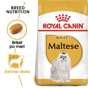Royal Canin Maltežan