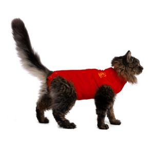 MPS Protective Pet Shirt - zaščitna majica za mačko