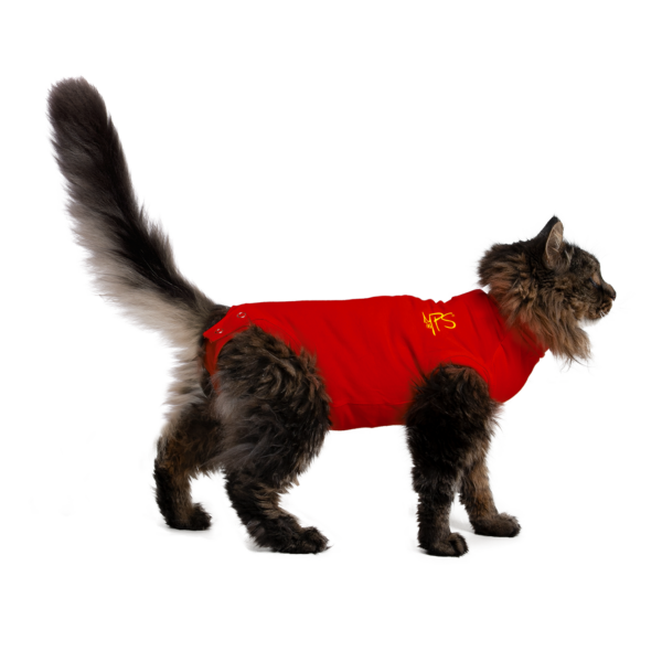 MPS Protective Pet Shirt - zaščitna majica za mačko