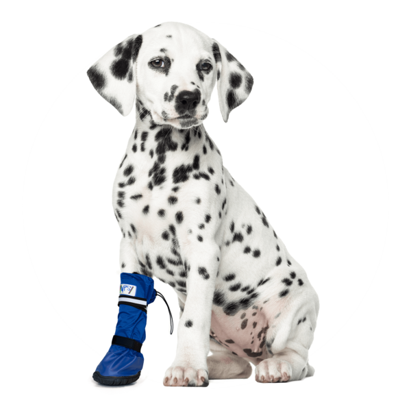 MPS Medical PetS Boot - zaščitna obutev za psa