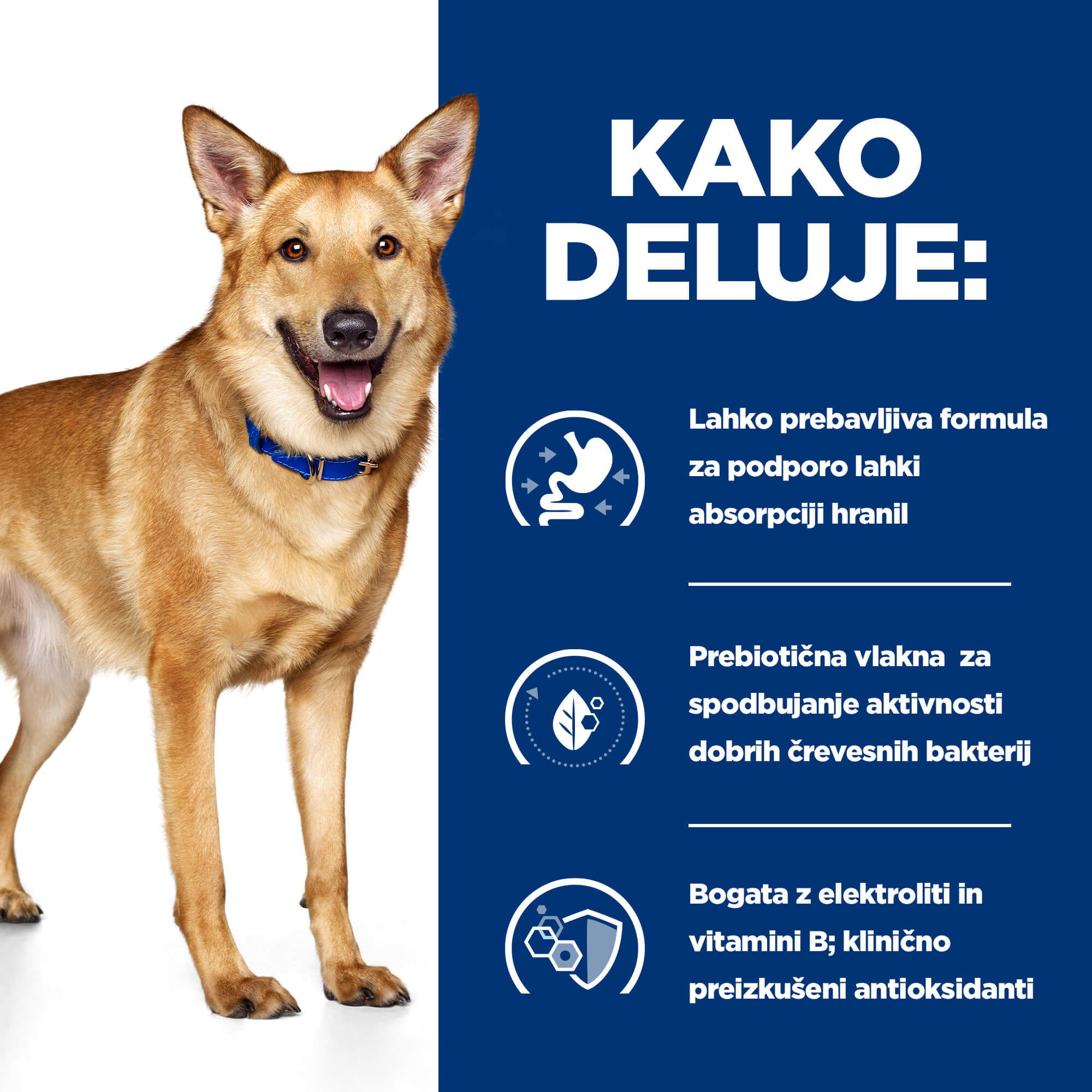 Hill’s Prescription Diet I/D Digestive Care Stew Piščanec 354g mokra hrana s koščki za pse Hill’s Prescription Diet I/D Digestive Care Stew Piščanec 354g mokra hrana s koščki za pse