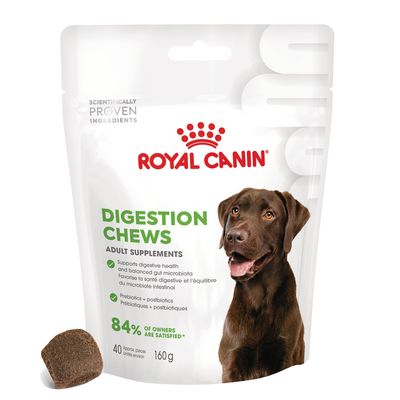 Royal Canin Digestion Chews 160g priboljški za pse