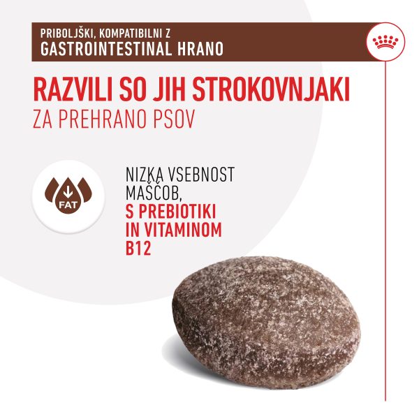 Royal Canin Gastrointestinal treats 230g priboljški za pse
