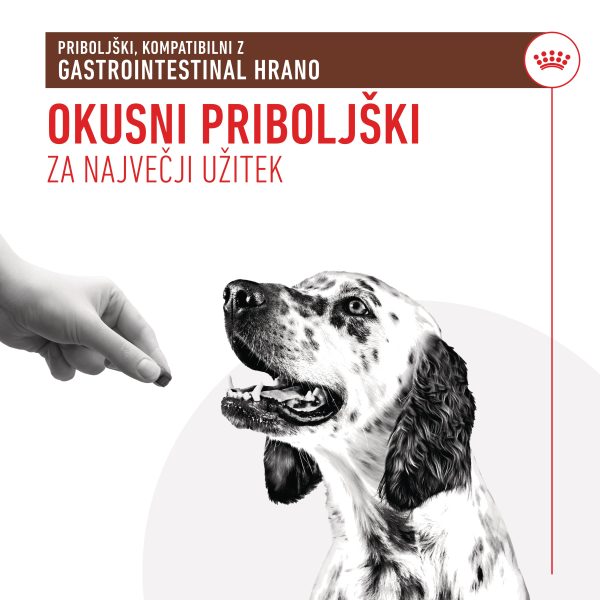 Royal Canin Gastrointestinal treats 230g priboljški za pse