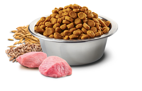 N&D Tropical Selection Kitten Jagnjetina 300g briketi za mačje mladiče N&D Tropical Selection Kitten Jagnjetina 300g briketi za mačje mladiče