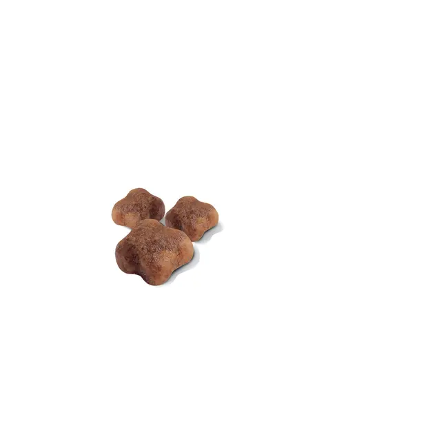 Royal Canin Babycat briketi za mačje mladičke Royal Canin Babycat briketi za mačje mladičke