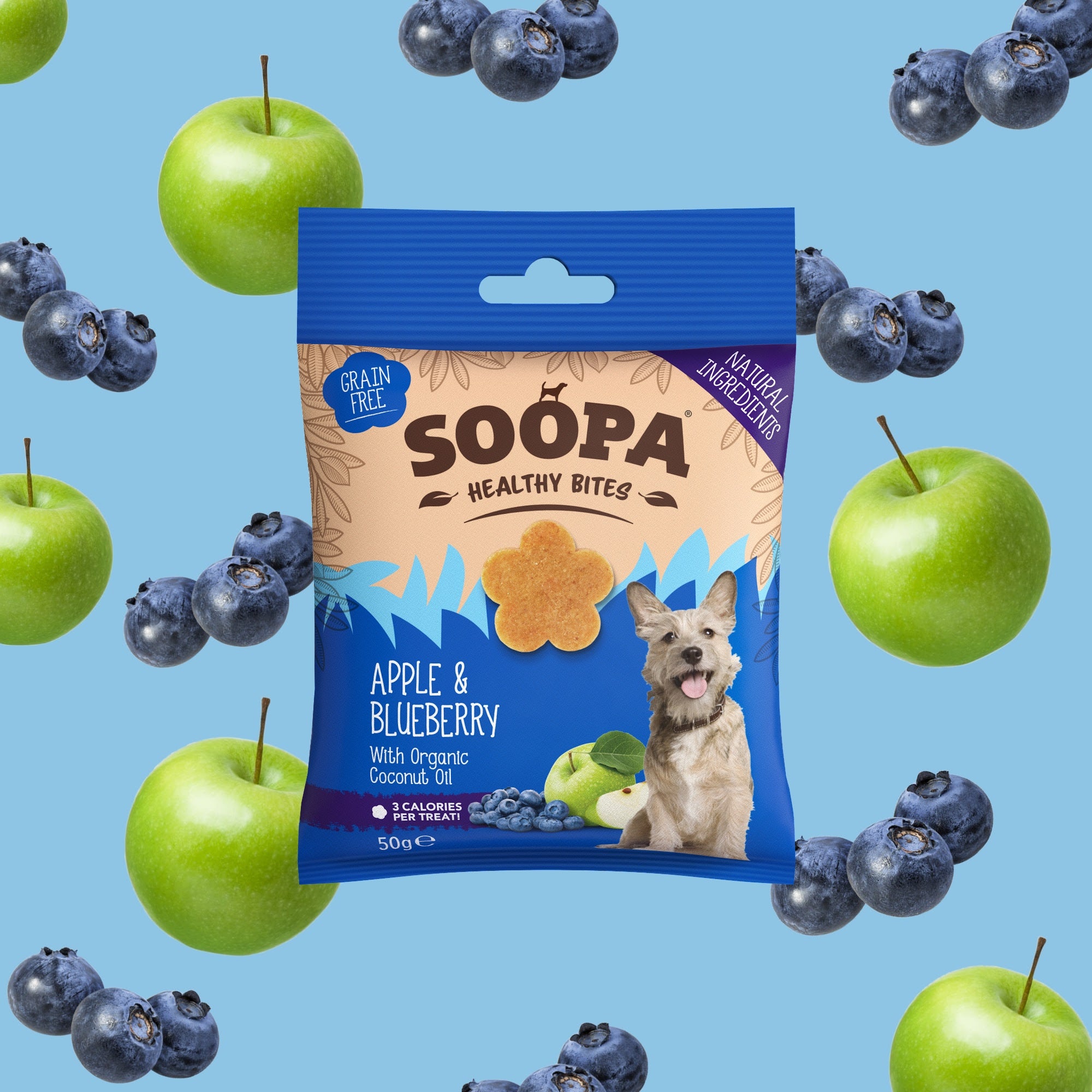 Healthy Bites SOOPA – Jabolko & Borovnica, 50g