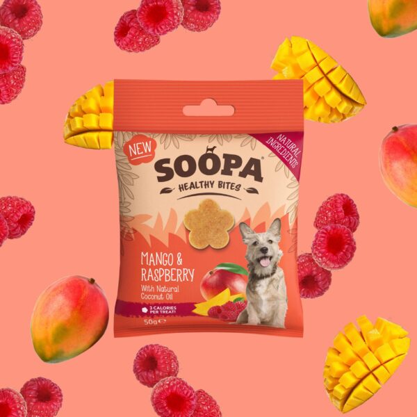 Healthy Bites SOOPA – Mango & Malina, 50g
