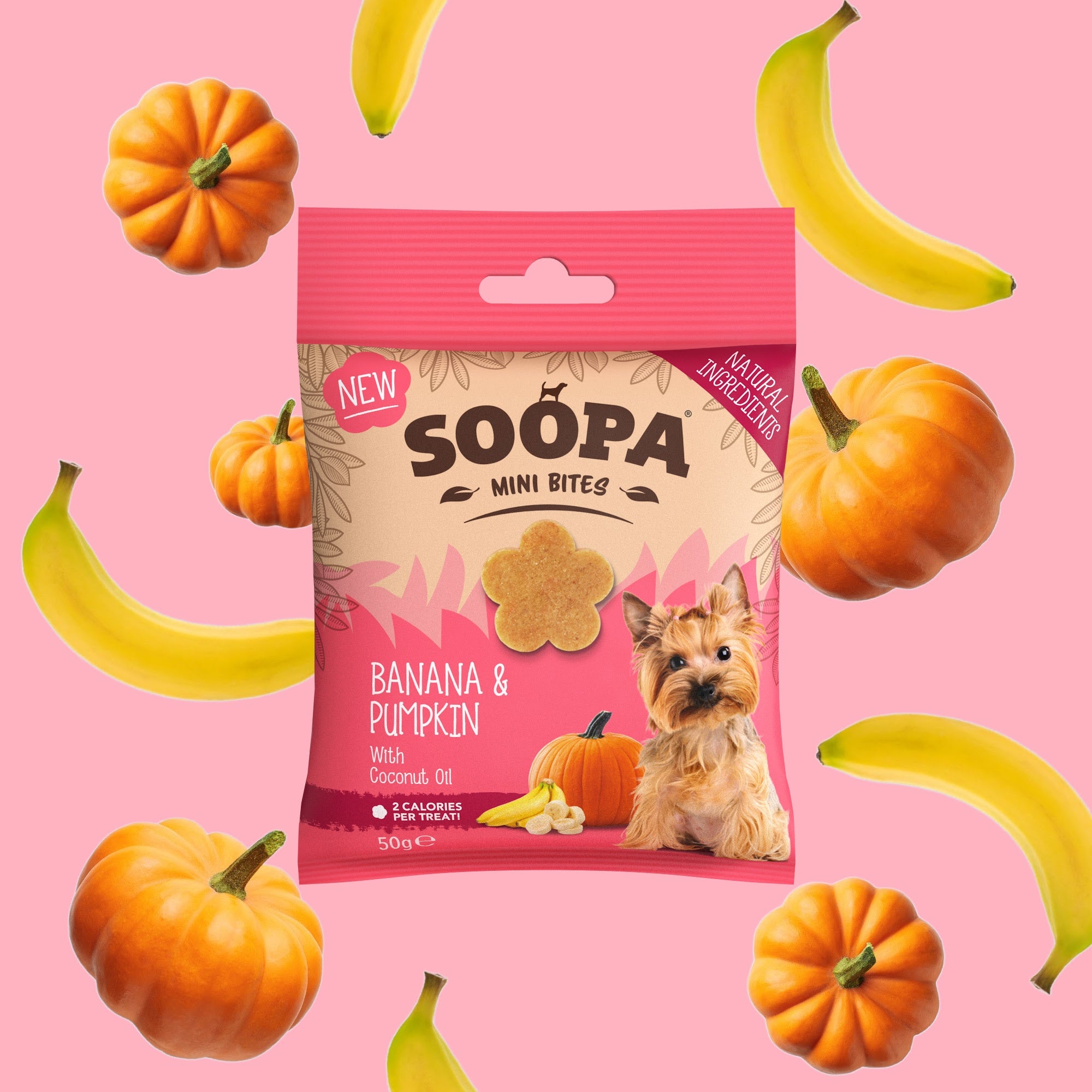 Healthy Bites Mini SOOPA – Banana & Buča, 50g