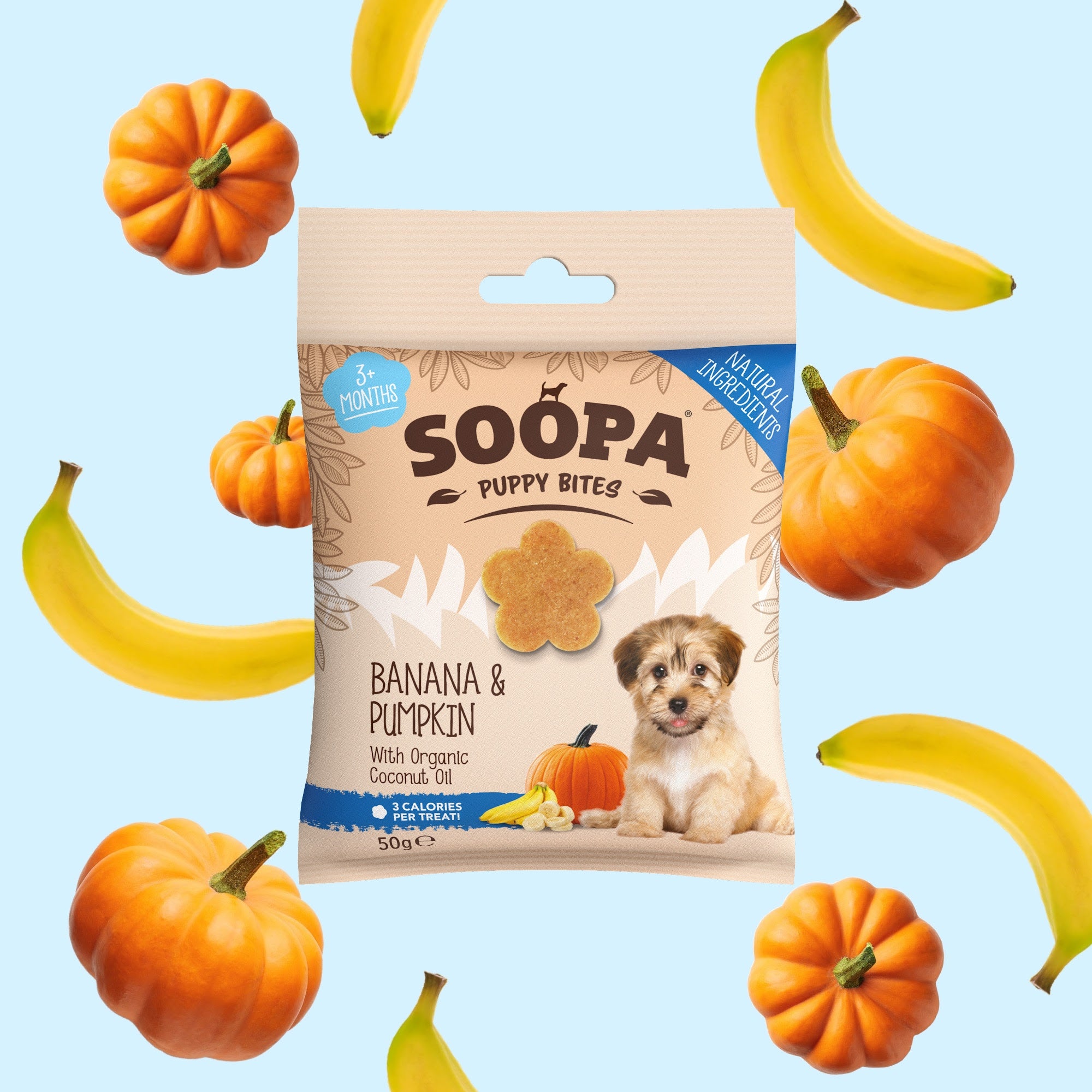 Healthy Bites Puppy SOOPA – Banana & Buča, 50g