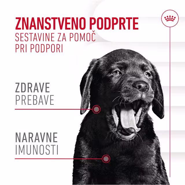 Royal canin IMMUNITY & DIGESTION CHEWS priboljški za pse Royal canin IMMUNITY & DIGESTION CHEWS priboljški za pse