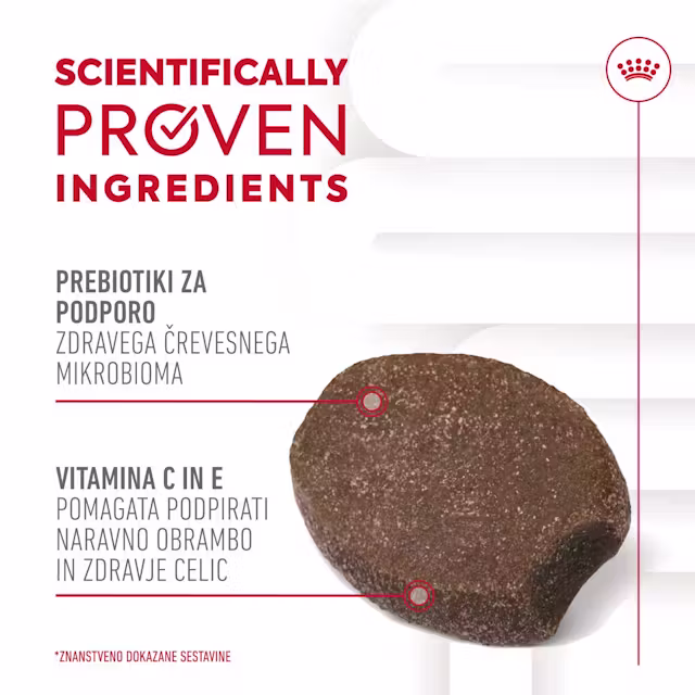 Royal canin IMMUNITY & DIGESTION CHEWS priboljški za pse Royal canin IMMUNITY & DIGESTION CHEWS priboljški za pse