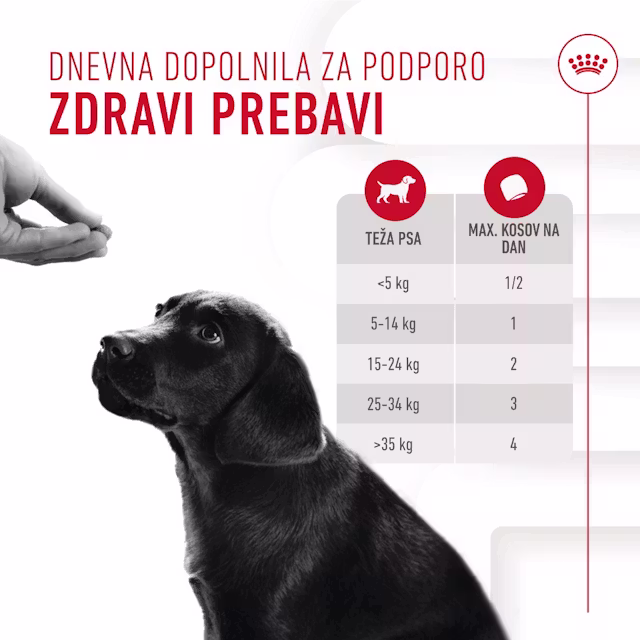 Royal canin IMMUNITY & DIGESTION CHEWS priboljški za pse Royal canin IMMUNITY & DIGESTION CHEWS priboljški za pse